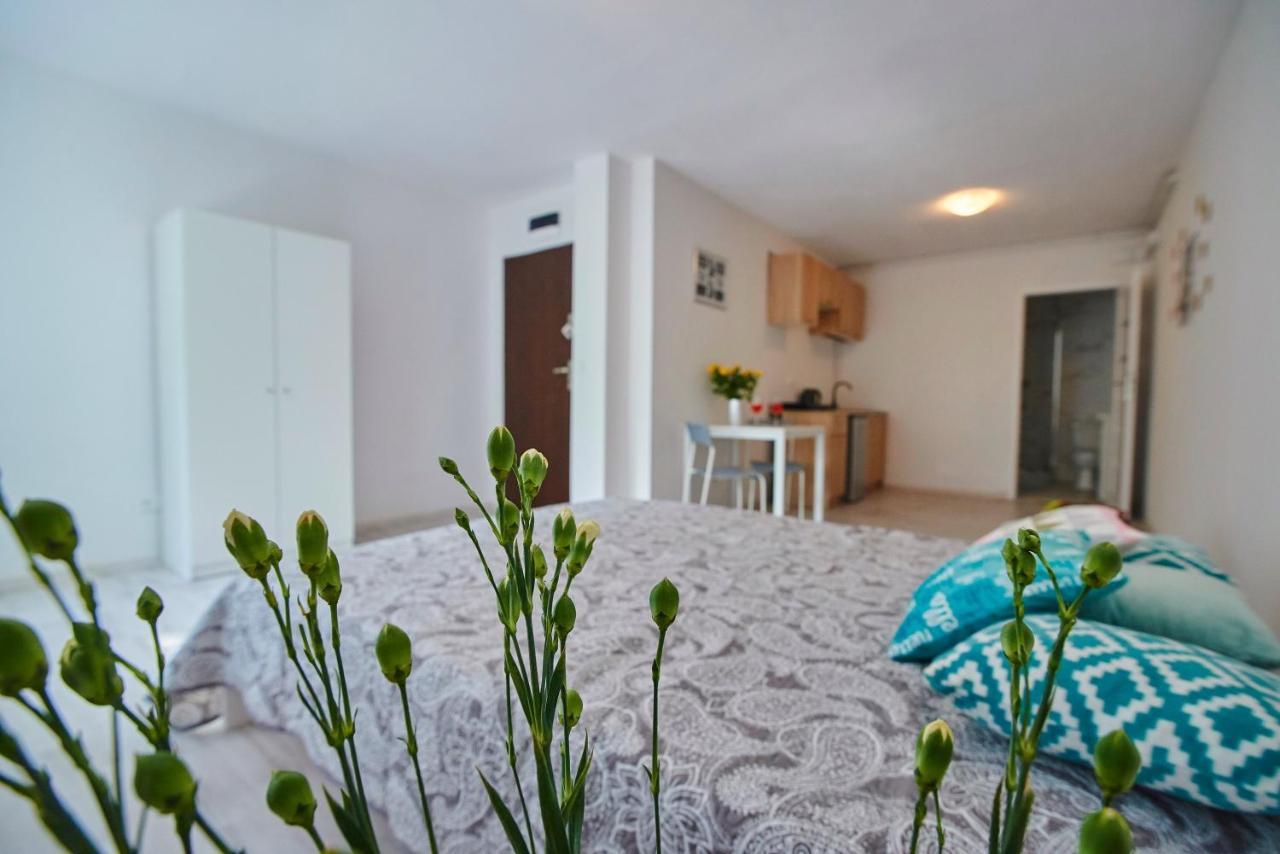 Regem Plonska Apartment *